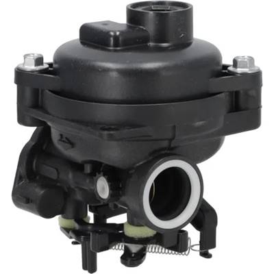 Carburateur Briggs et Stratton