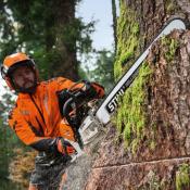 Tronçonneuse thermique Stihl MS500i guide Rollo ES Light de 50 cm